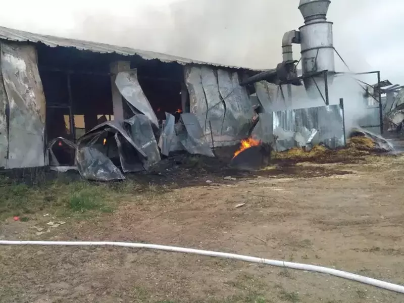 Incendiu la o hală de prelucrare a lemnului din judeţul Covasna (1)