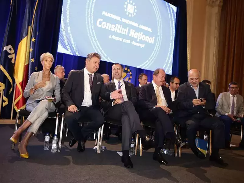 consiliul national pnl 6