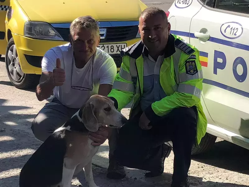 Povestea câinelui găsit de poliţişti după ce s-a rătăcit de stăpân în urma unui accident rutier petrecut pe 1 septembrie, pe Valea Oltului, este impresionantă. "Elisey", căci aşa îl cheamă pe patruped, a hoinărit cinci săptămâni până să fie găsit de agent şef Daniel Stoenete, poliţist la Serviciul Rutier Vâlcea.