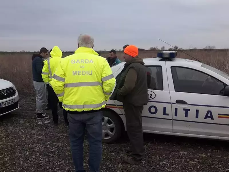 animale otrăvite pe câmp de substanțele toxice folosite de o firmă care cultiva rapiță