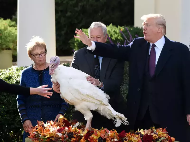 Donald Trump a grațiat doi curcani