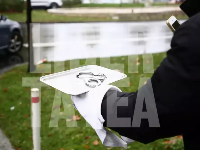 gabriel-oprea-catuse-vlad-chirea-4