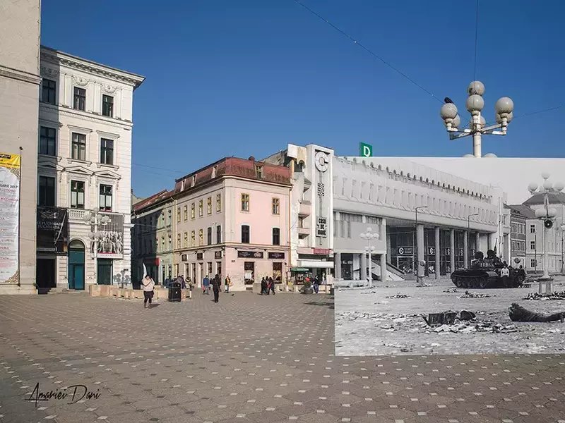 colaje timisoara_foto Dani Amariei (1)