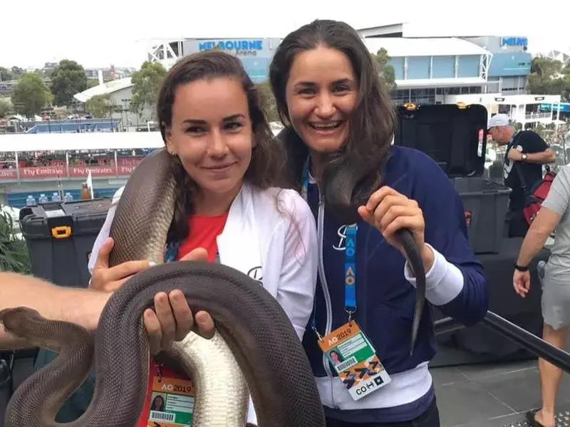 Monica Niculescu, Irina Bara şi Mihaela Buzărnescu s-au jucat cu un șarpe uriaș la Melbourne