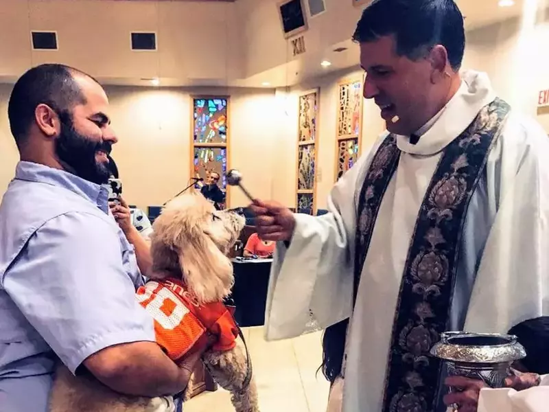 43312562_2272114806196915_8028968217684738048_n