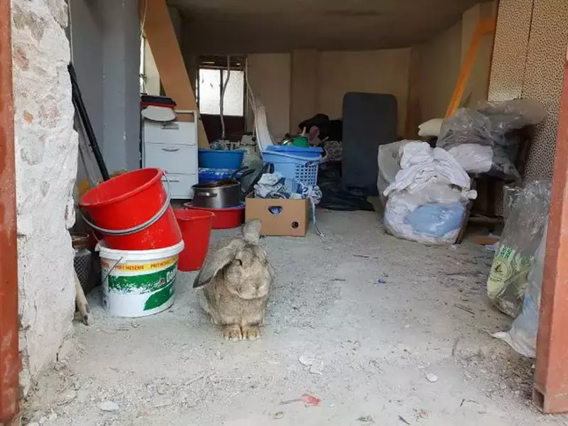 Bătrâni ținuți neîngrijiți și nespălați într-un azil privat din Timiș