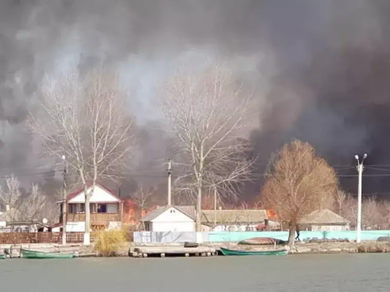 Sute de hectare de stuf au luat foc, în Sulina. Primarul spune că localnicii i-au dat foc intenționat