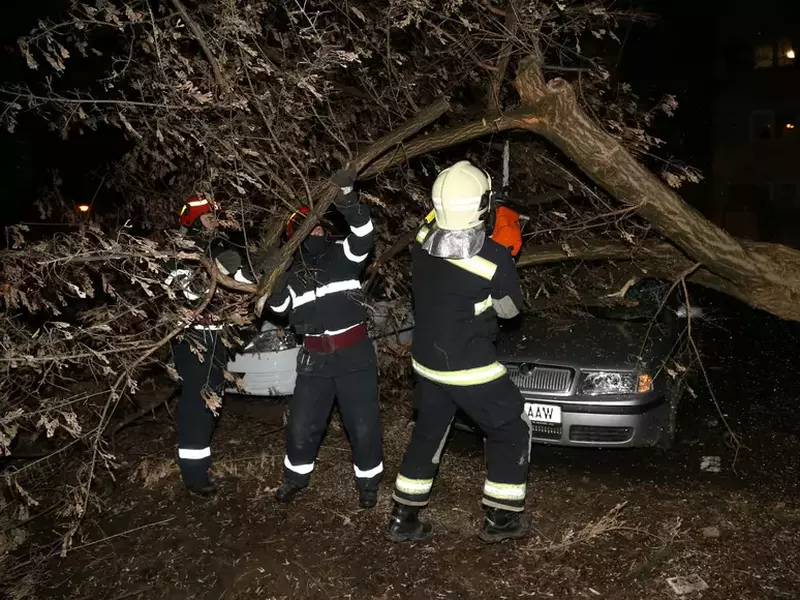 Intervenții ale pompierilor după viscolul din București de vineri după-amiază. Copaci căzuți, fire rupte și table smulse