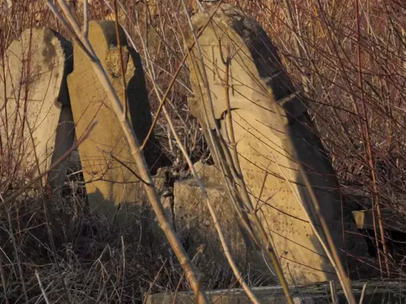 VIDEO Pământul gemea de la oamenii îngropați de vii. Mărculești, dosarul vinovăției noastre. Cimitirul evreiesc din Mărculești, lăsat în paragină