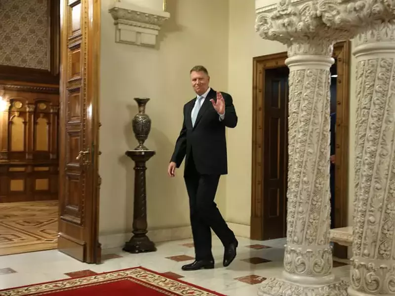 55455364_479424029263576_7781684719703293952_n