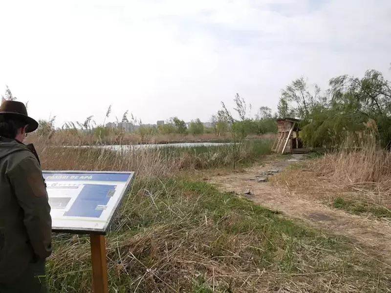 Văcărești, drumul de la groapă de gunoi la parc natural. Florin Stoican uitându-se pe un panou