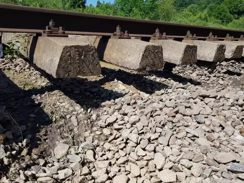 64883358_2637303109637874_2953940238306639872_o