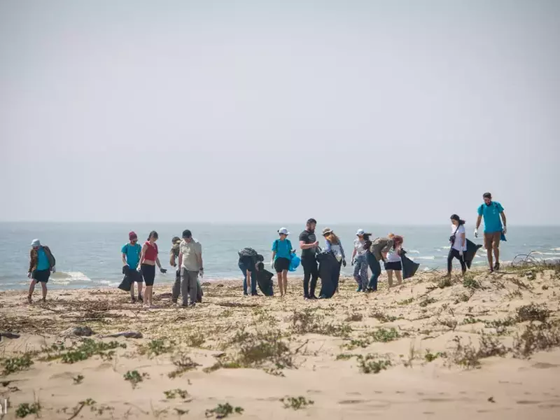 cuapelecurate (1 of 1)