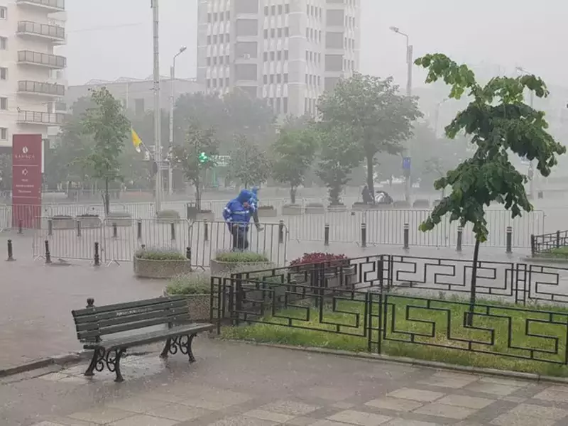 papa la iasi (1)