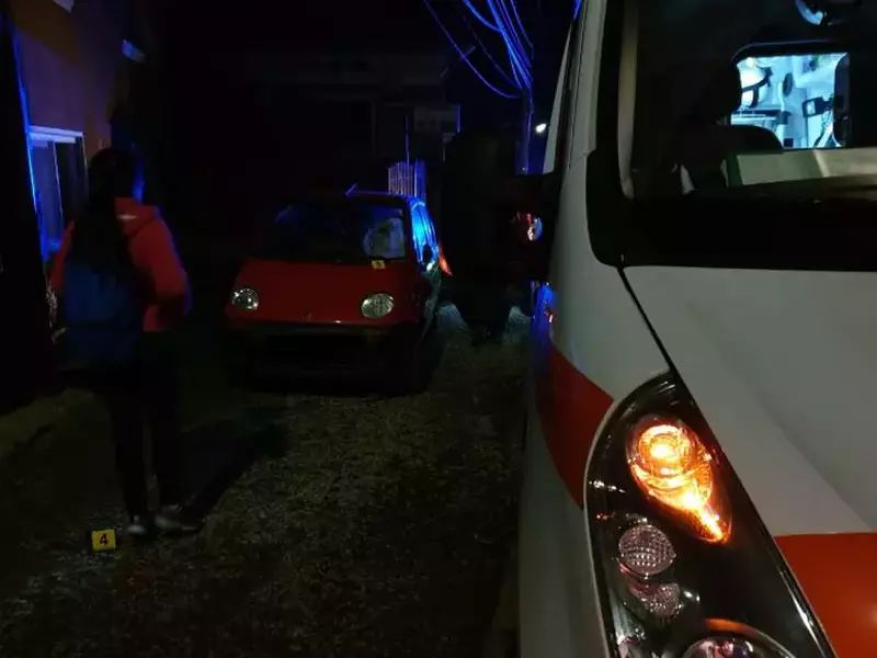 Accident-Cartisoara-2