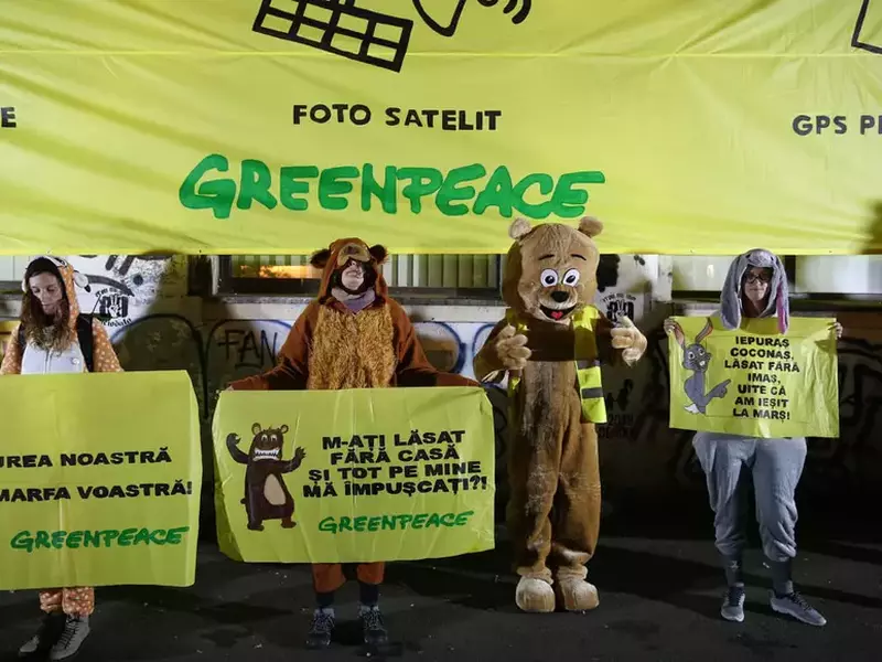 74229531_707337209773171_7661370818747695104_n