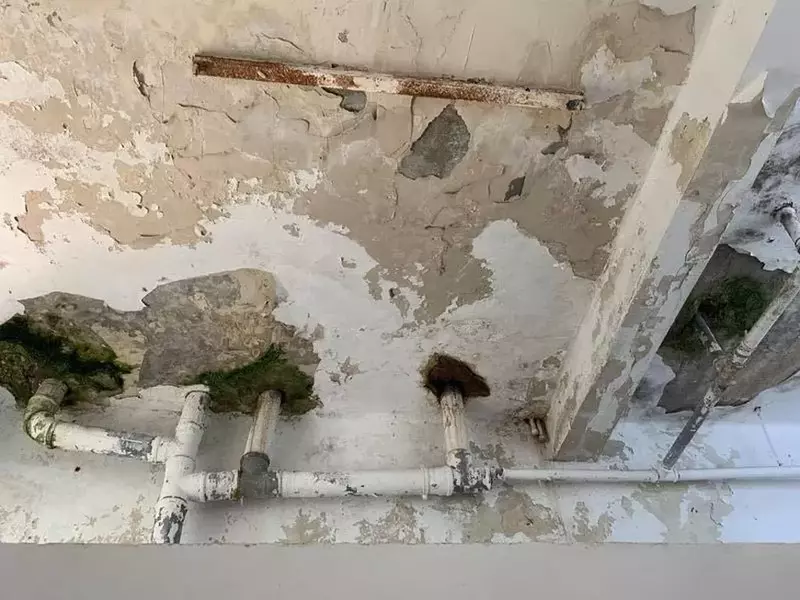 image-2019-09-20-23377475-41-psihiatrie-palazu-mare