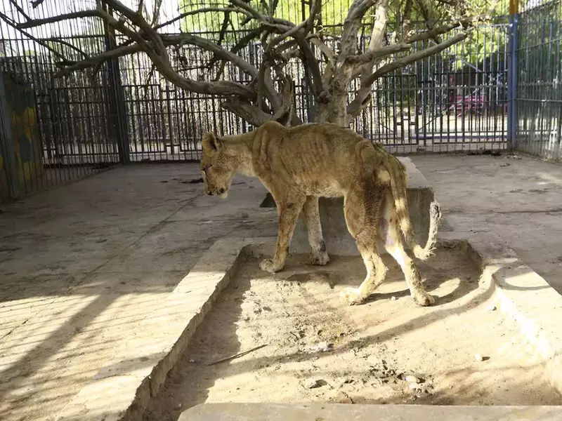 profimedia-0493824672