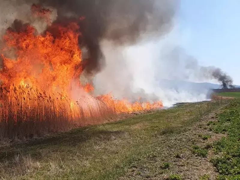 minitornada-vaslui-6