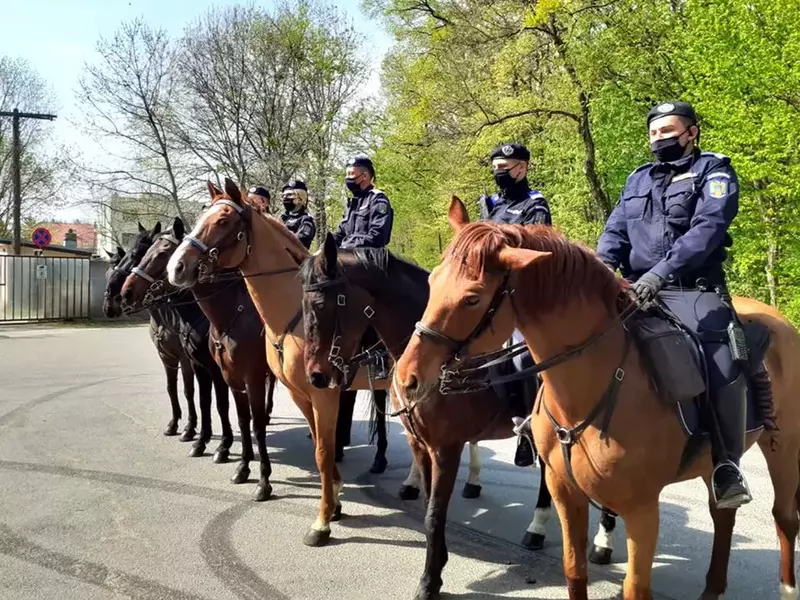 92732667_3095753713808986_2755452301861715968_o