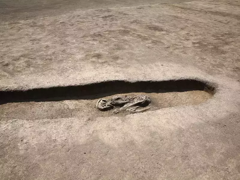 sit arheologic timisoara 1