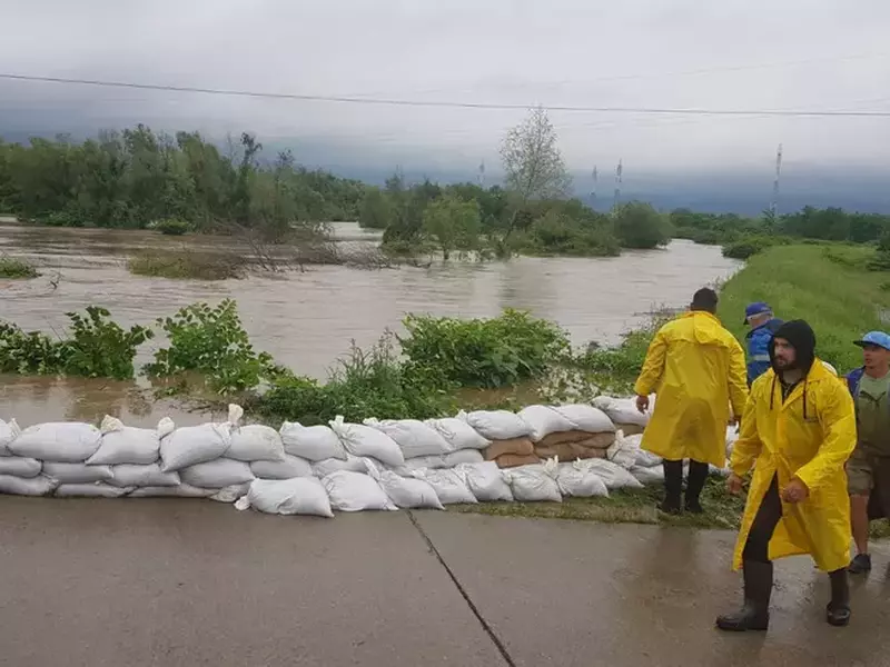 WhatsApp Image 2020-06-19 at 03.35.35 (1)