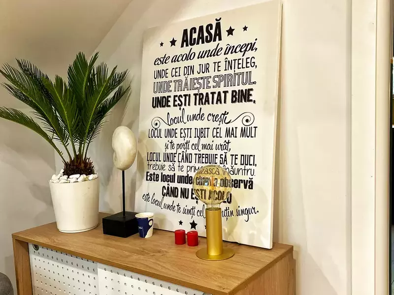 Casa familiei Sava. Foto: Eli Neicuț