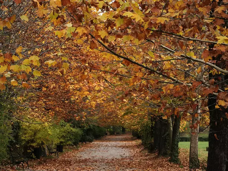Toamna în Grădina Botanică din Bucuresti