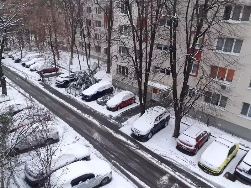 129512281_235266011273214_7568068995620802257_n