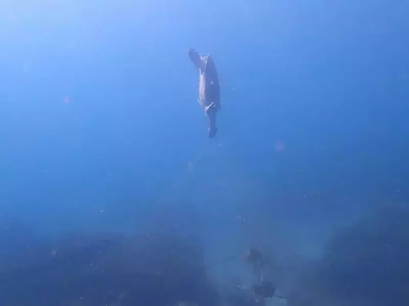 profimedia-0579635942