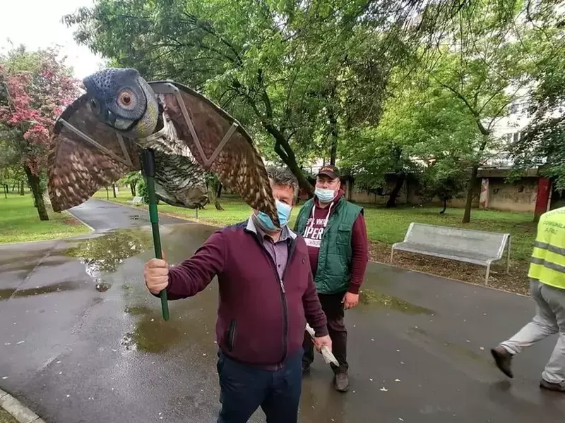 185663755_3905530012833846_3504259409204348141_n