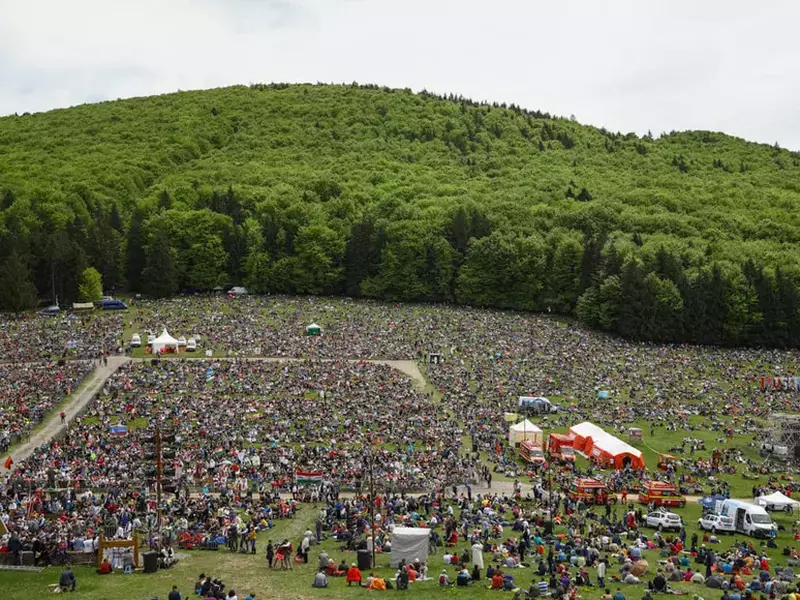 188341147_264624372026888_5646114746540477325_n