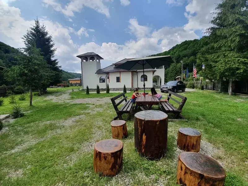 conacul monicai anghel 5