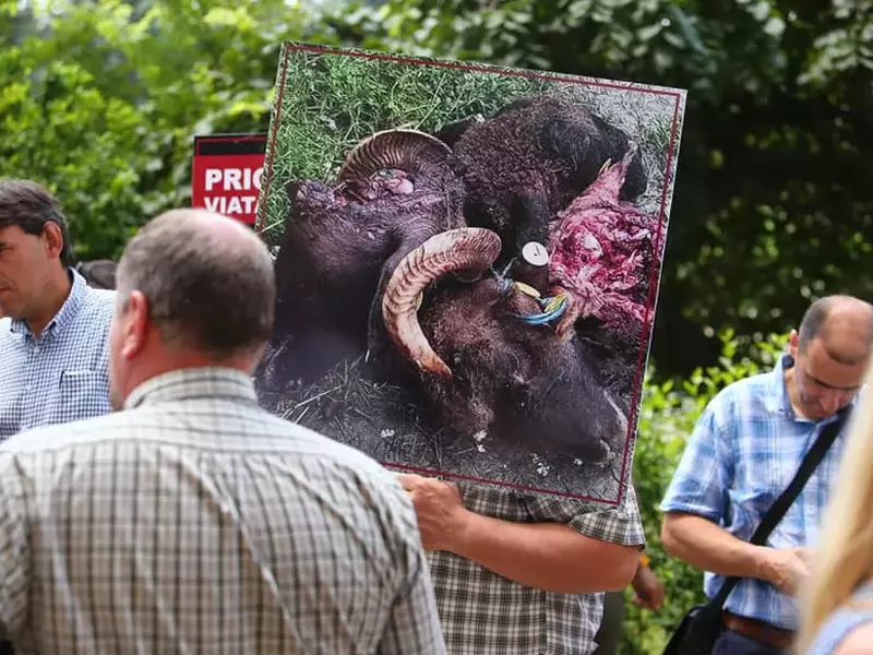 205846188_1562179723952571_7724334865943140488_n