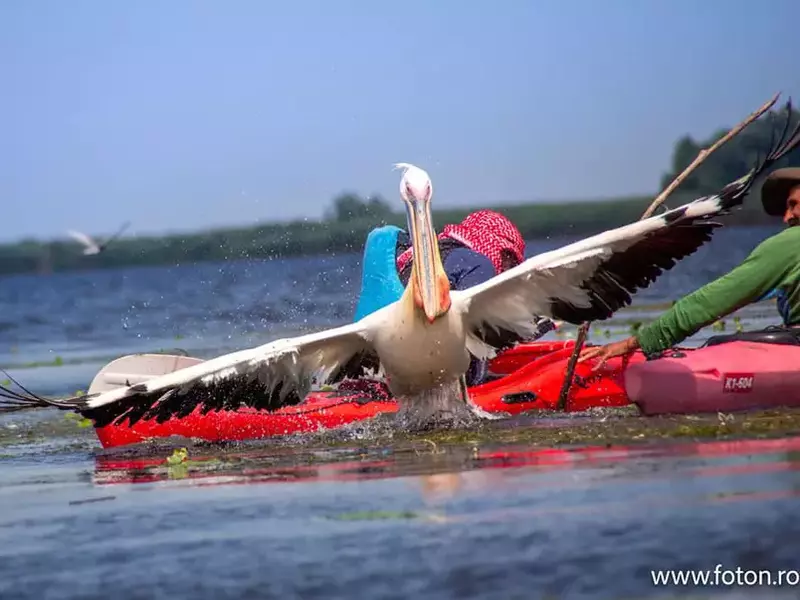 221552763_2806912789639587_2575197729349807942_n (1)