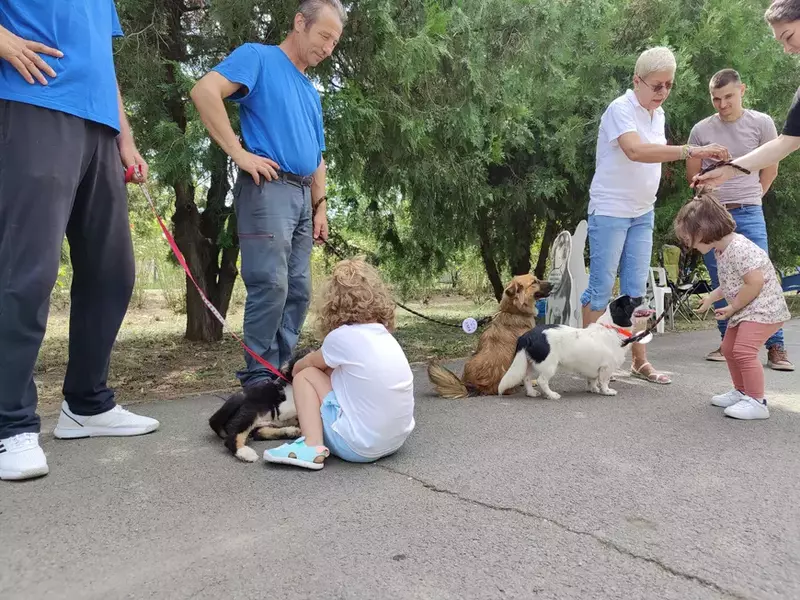 adoptii aspa2
