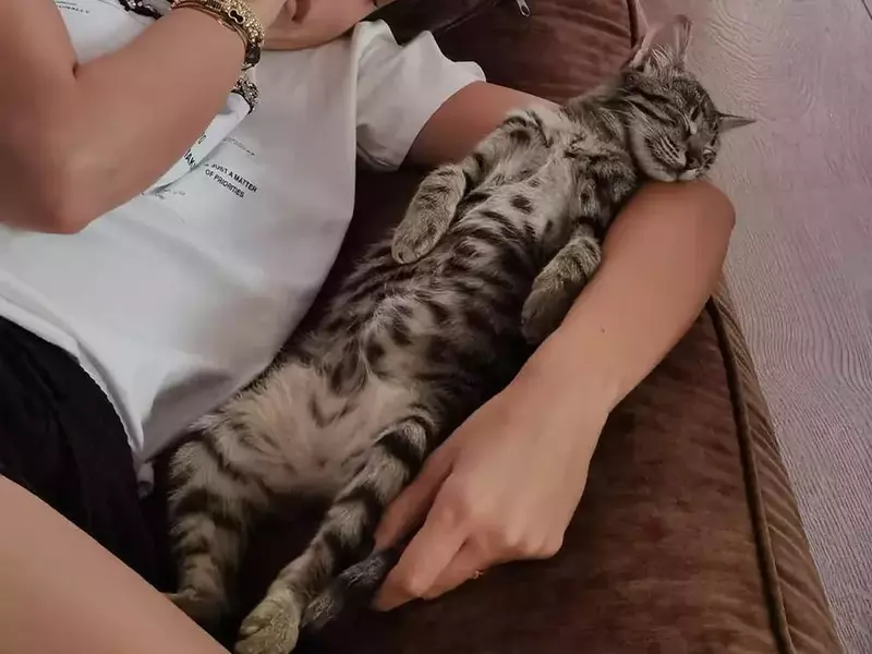 218004075_4106052509508637_8064016021873267709_n