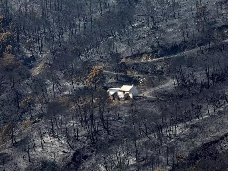 Forest fire in Sierra Bermeja burns 4,000 hectares