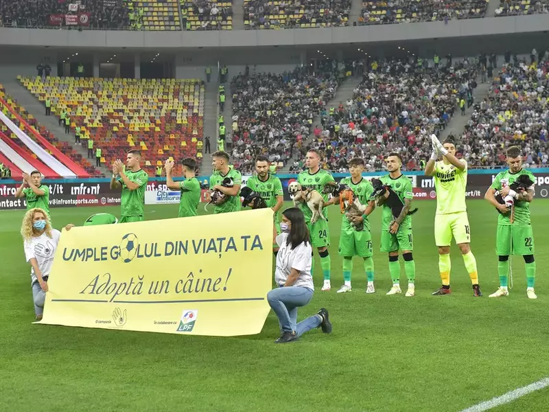 Campania „Umple golul din viața ta”. Foto: Protecția Animalelor CJ Ilfov