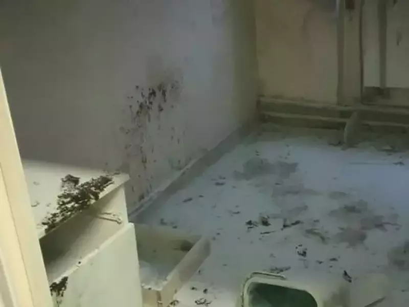 img-20211123-wa0001-700×360-1