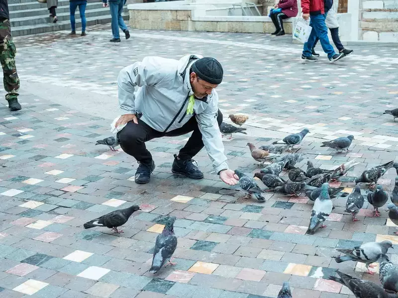 sorin-bontea-la-chefi-fara-limite-4