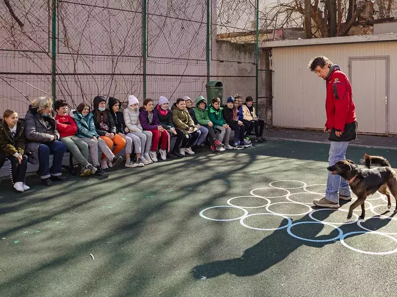 Uneori, Delia ține cursurile împreună cu Clubul Câinilor Utlitari. Vlad Popescu a adus-o la Cervantes pe Challapa