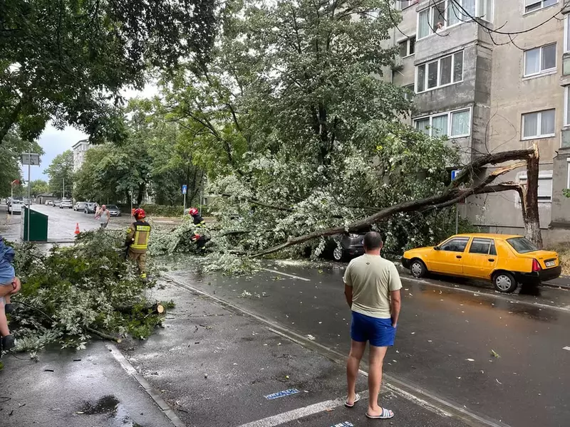 copac-davinci-oradea-30072022-1