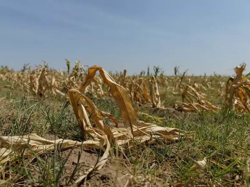 Foto: Vlad Chirea / Libertatea