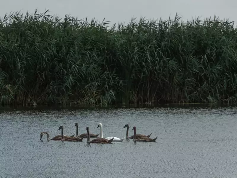 Foto: Vlad Chirea / Libertatea