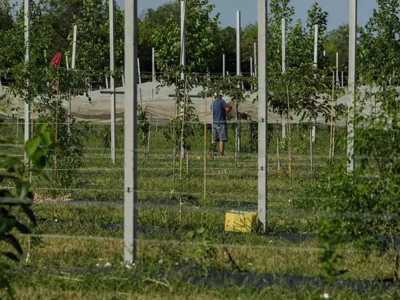 Foto: Vlad Chirea / Libertatea