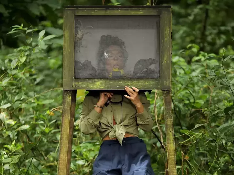 3067429334549561333209581982996458258443856n