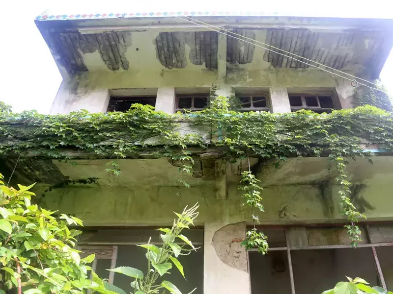 Mysterious island where houses left to plants and animals