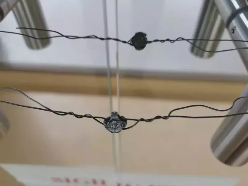 whatsapp-image-2022-11-13-at-14-32-43