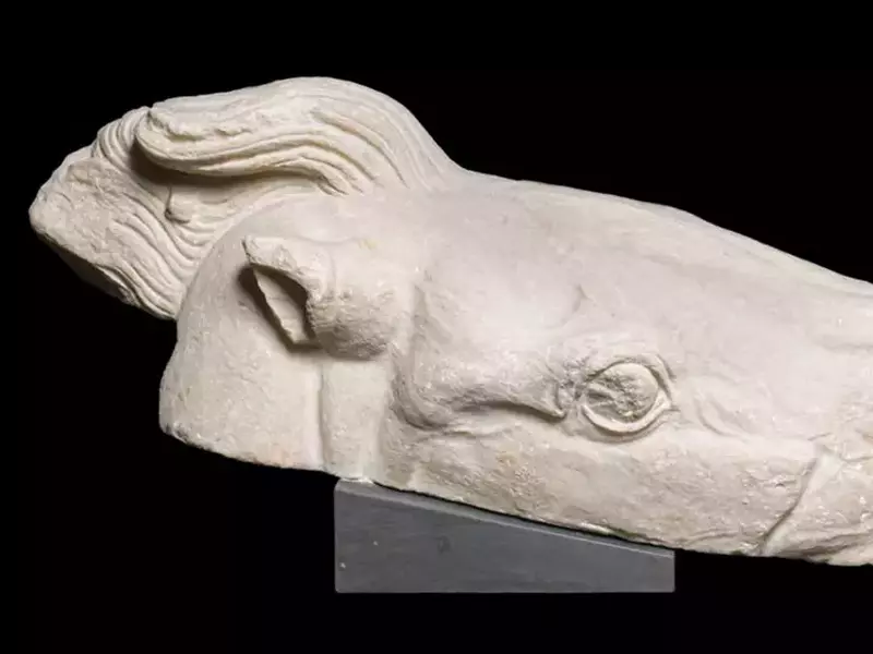 profimedia-0745018051-1